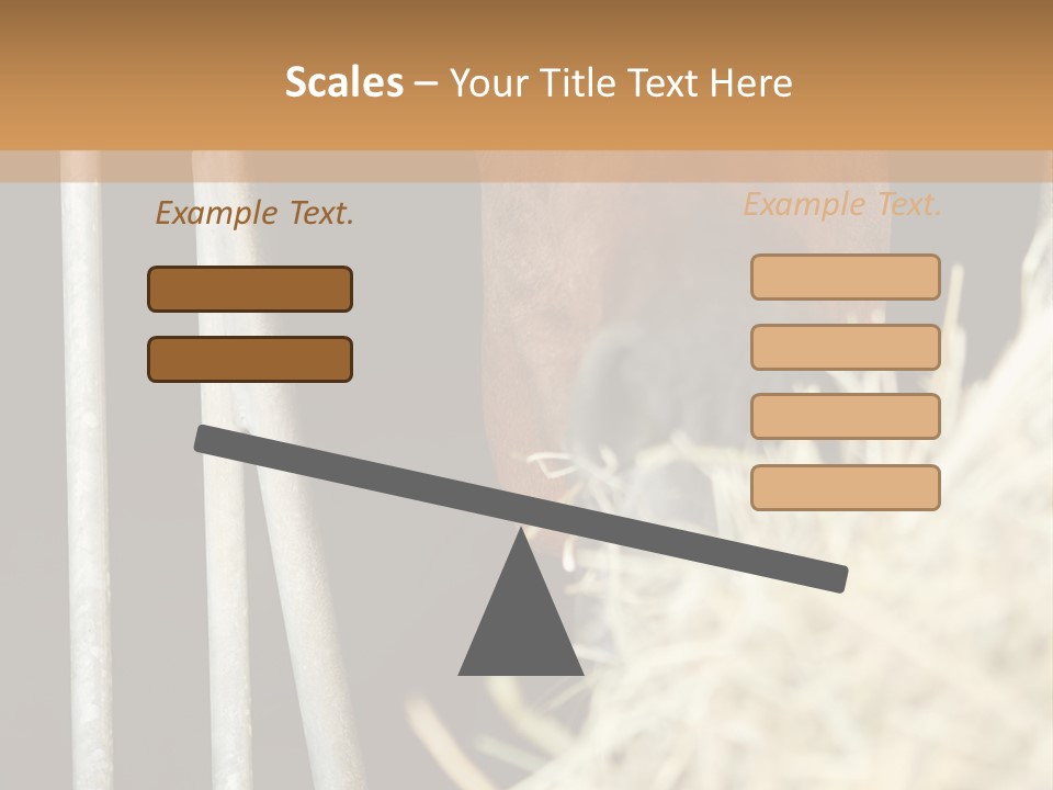 Images Brown Graphic PowerPoint Template