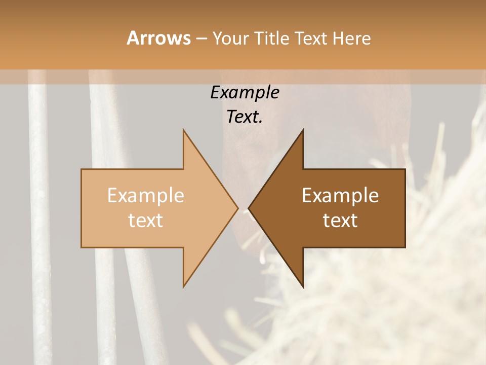 Images Brown Graphic PowerPoint Template