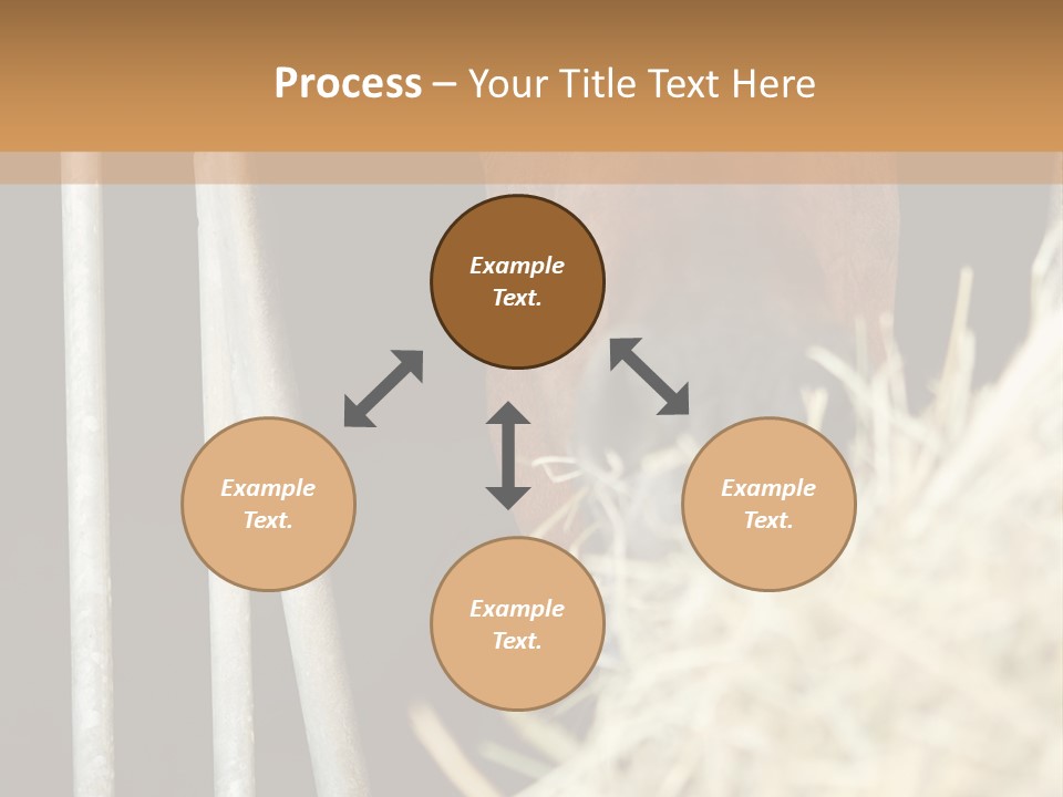 Images Brown Graphic PowerPoint Template