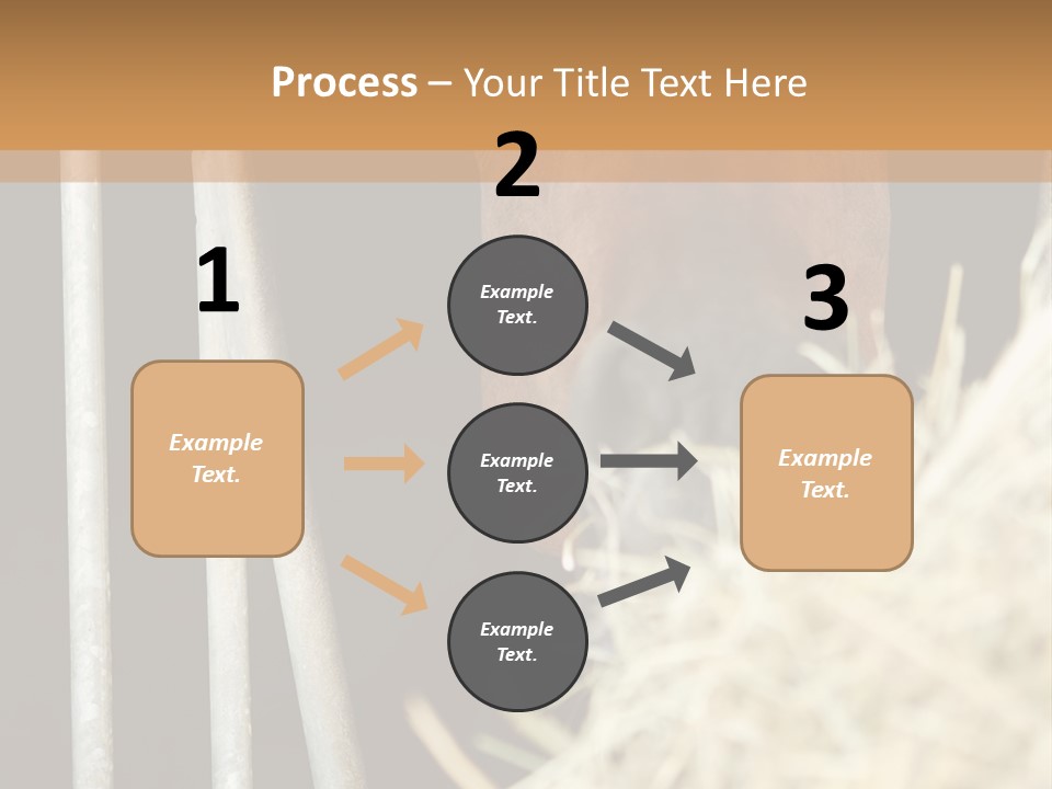 Images Brown Graphic PowerPoint Template