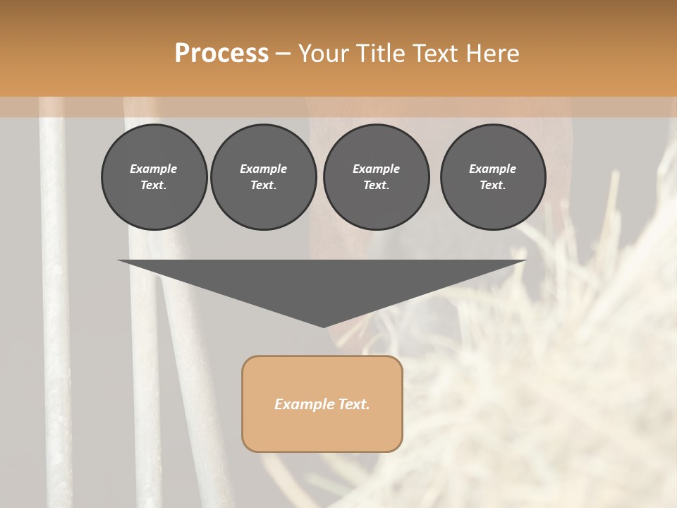 Images Brown Graphic PowerPoint Template