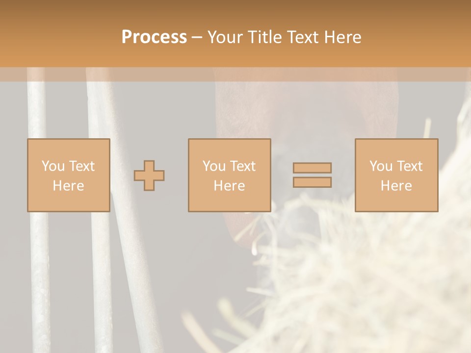 Images Brown Graphic PowerPoint Template
