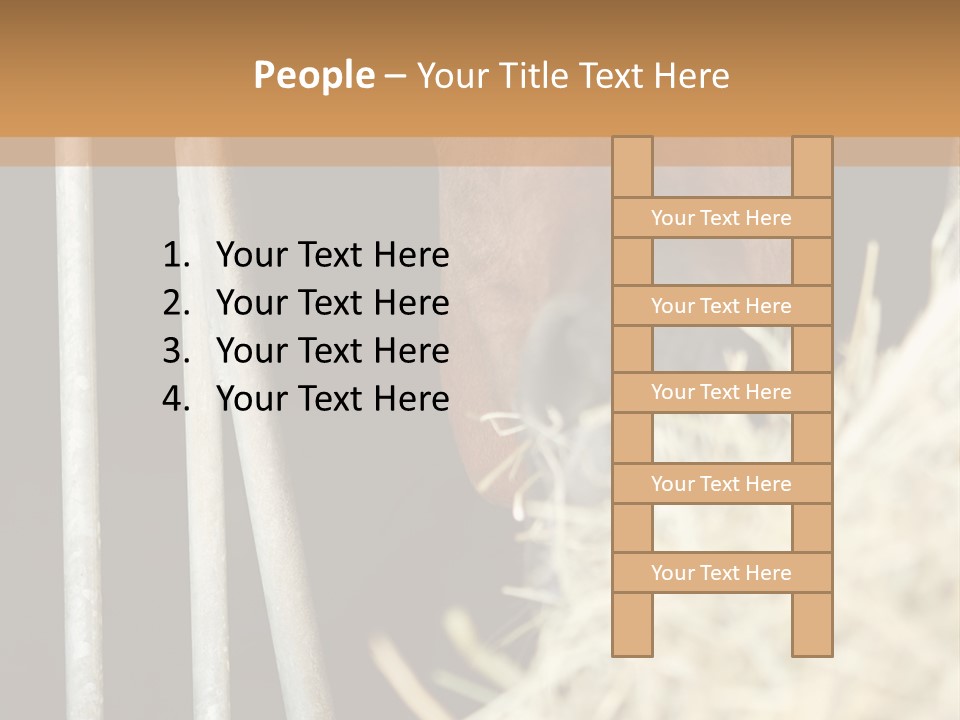 Images Brown Graphic PowerPoint Template