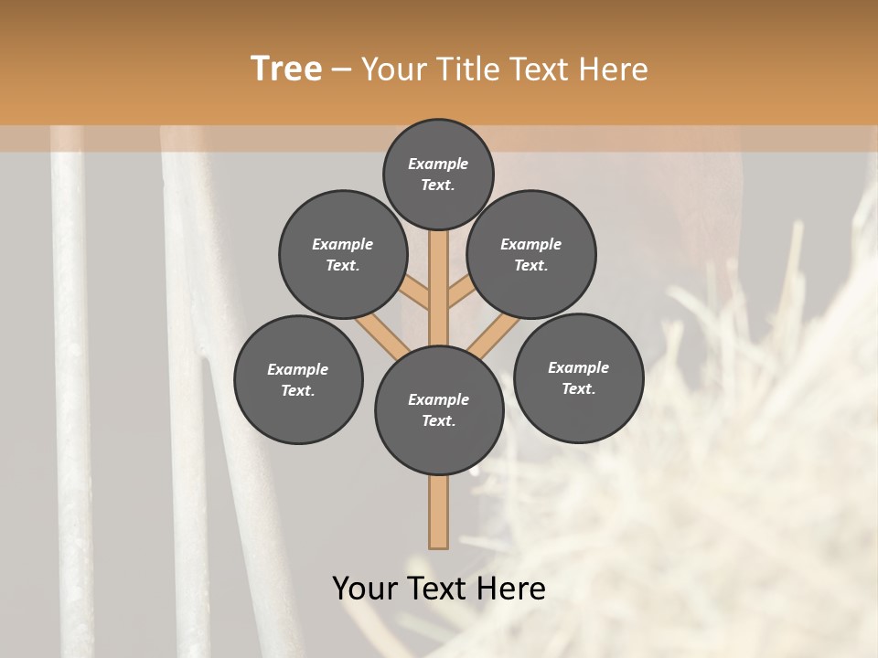 Images Brown Graphic PowerPoint Template