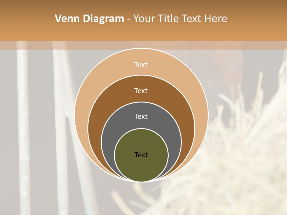 Images Brown Graphic PowerPoint Template