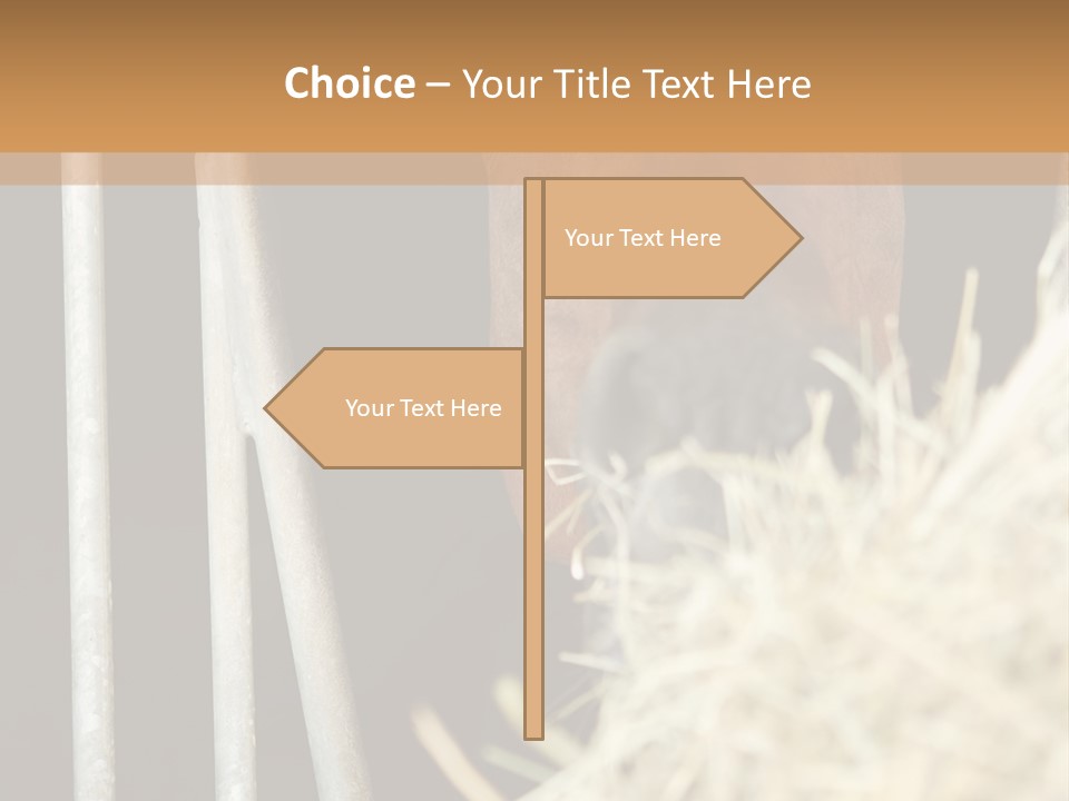 Images Brown Graphic PowerPoint Template