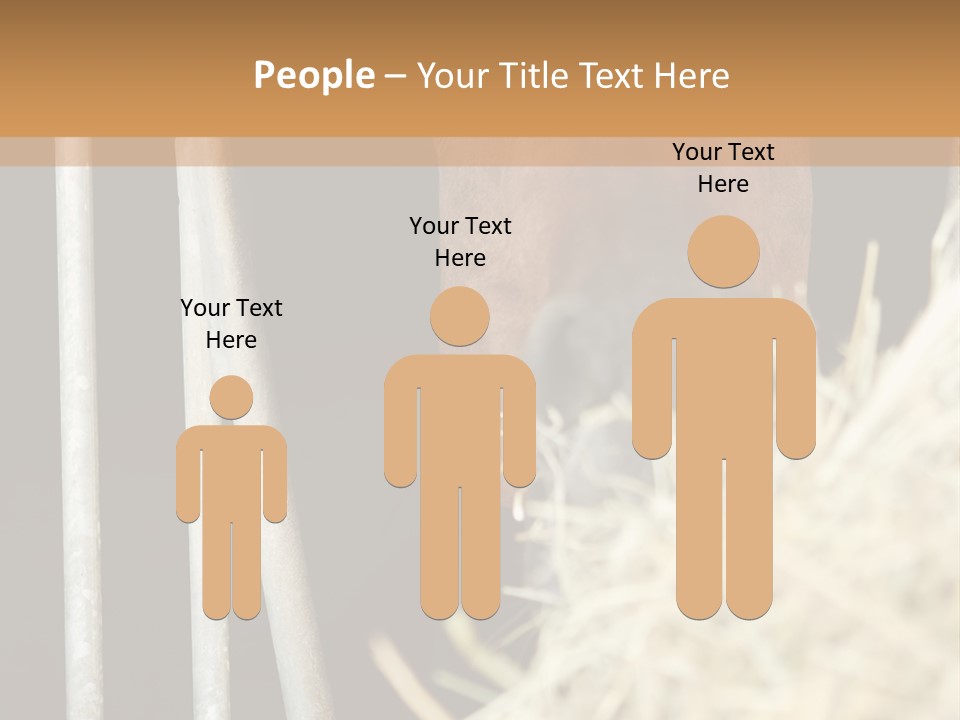 Images Brown Graphic PowerPoint Template