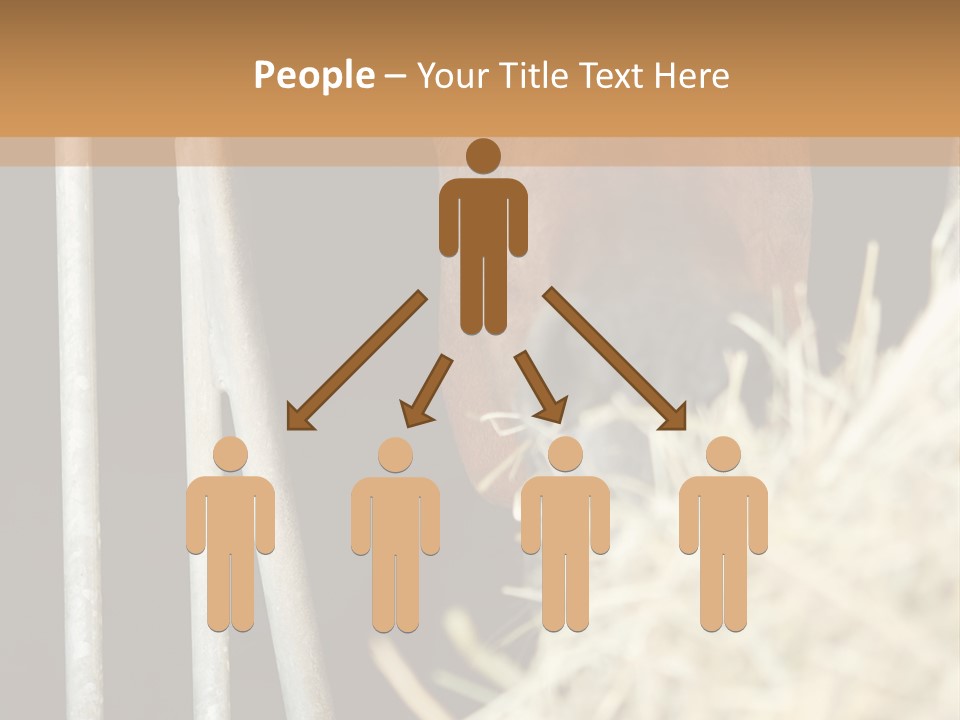 Images Brown Graphic PowerPoint Template