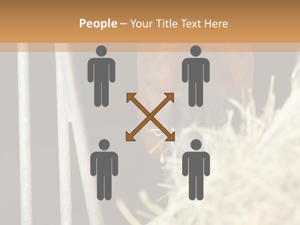 Images Brown Graphic PowerPoint Template