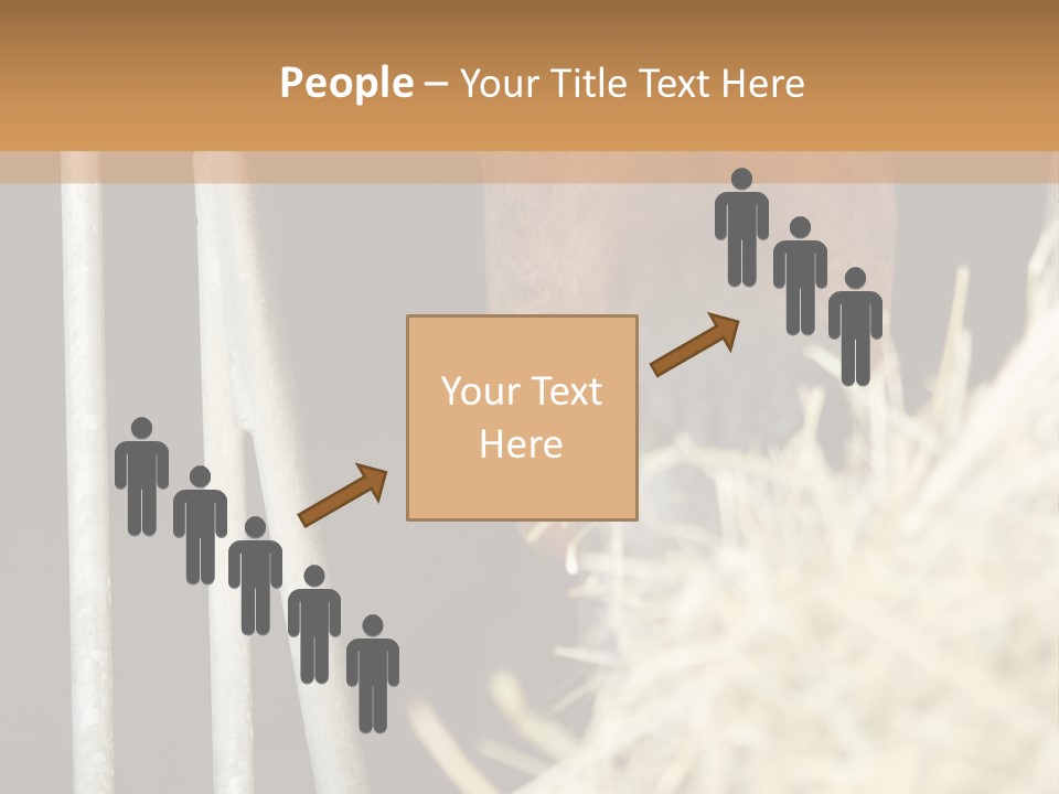 Images Brown Graphic PowerPoint Template