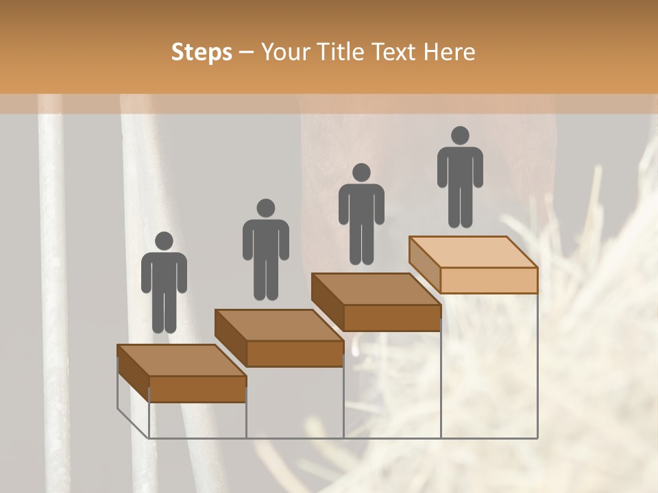 Images Brown Graphic PowerPoint Template