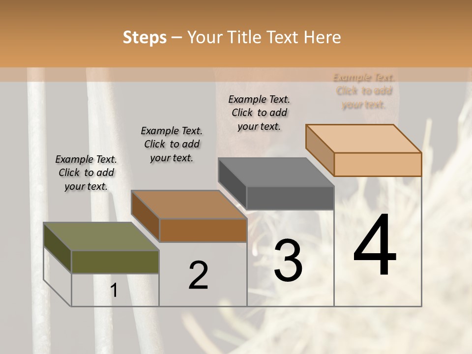 Images Brown Graphic PowerPoint Template