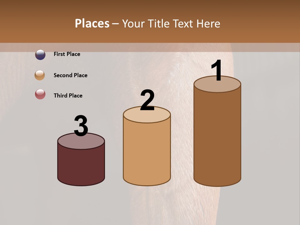 Fineartprints Wallmurals Leg PowerPoint Template