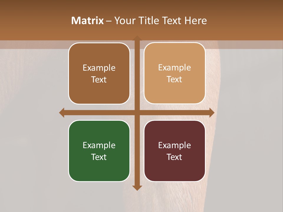 Fineartprints Wallmurals Leg PowerPoint Template