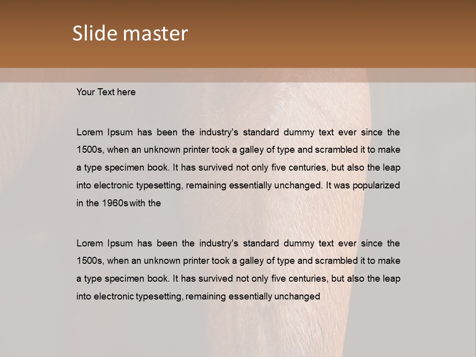 Fineartprints Wallmurals Leg PowerPoint Template