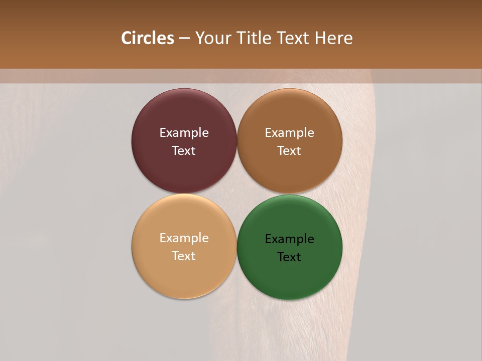 Fineartprints Wallmurals Leg PowerPoint Template