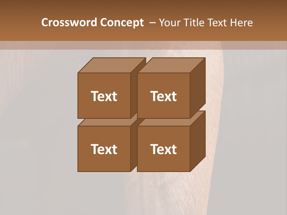 Fineartprints Wallmurals Leg PowerPoint Template