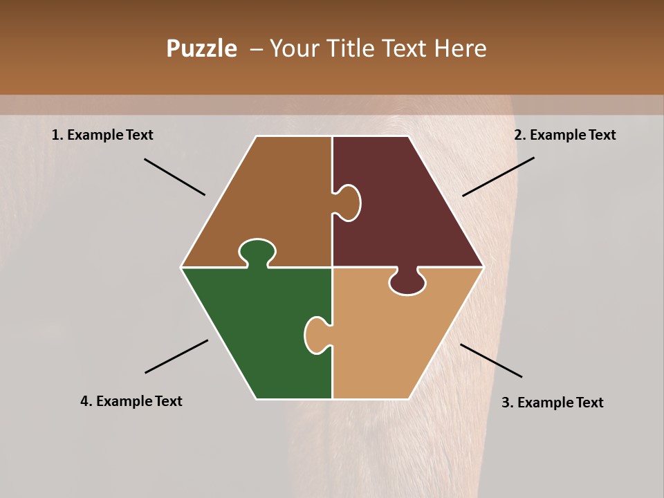 Fineartprints Wallmurals Leg PowerPoint Template