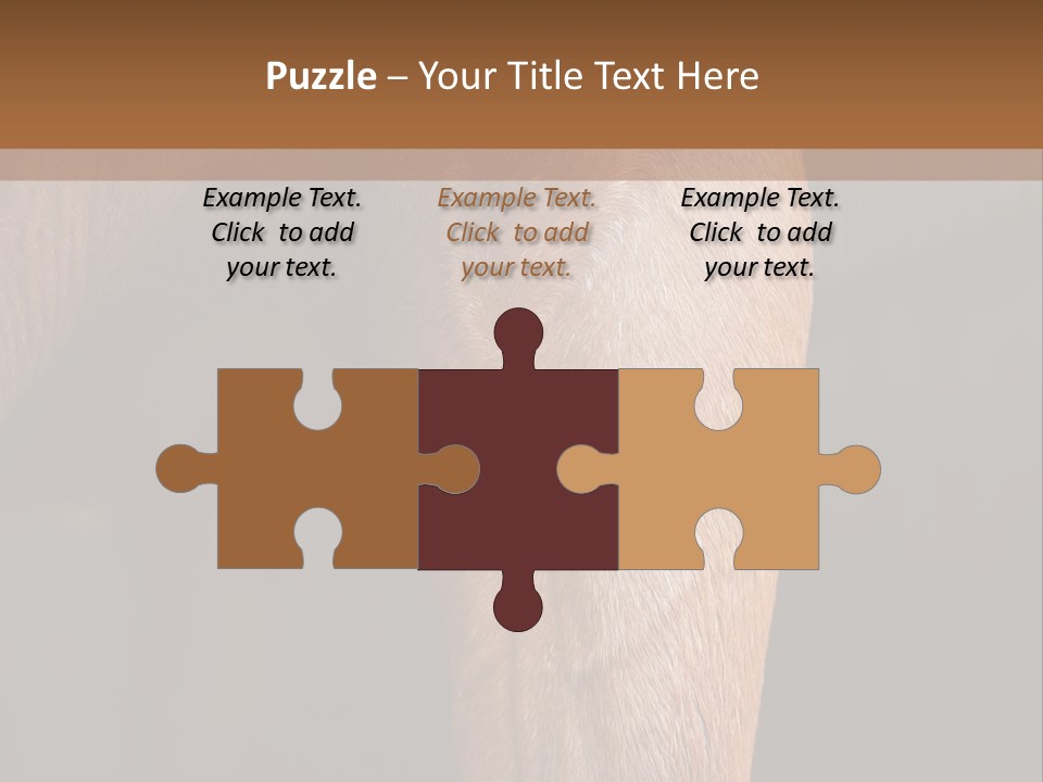 Fineartprints Wallmurals Leg PowerPoint Template