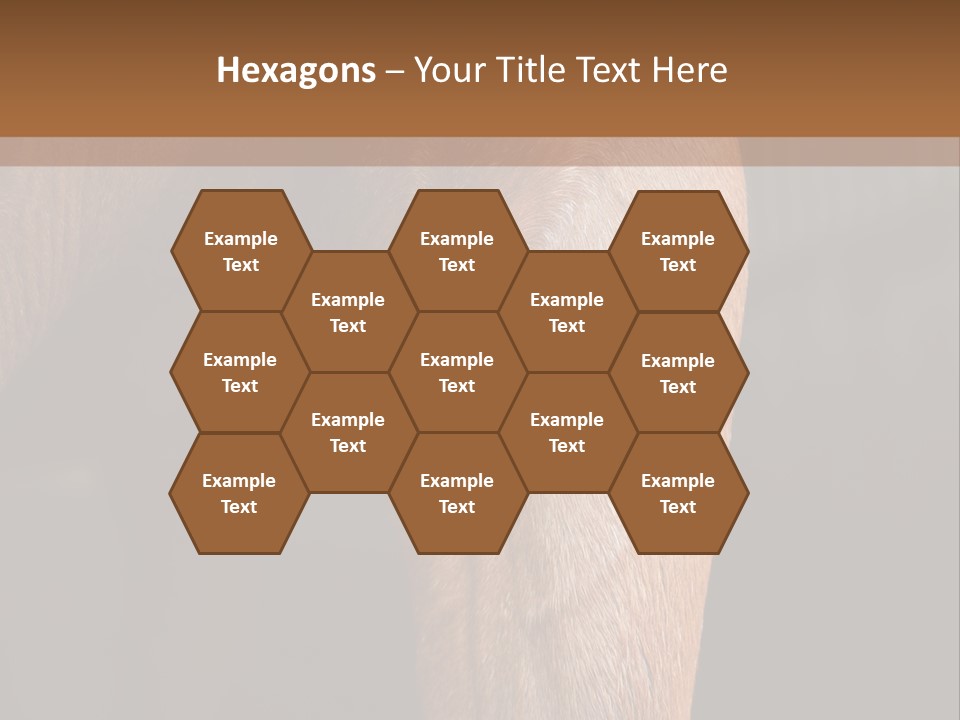 Fineartprints Wallmurals Leg PowerPoint Template