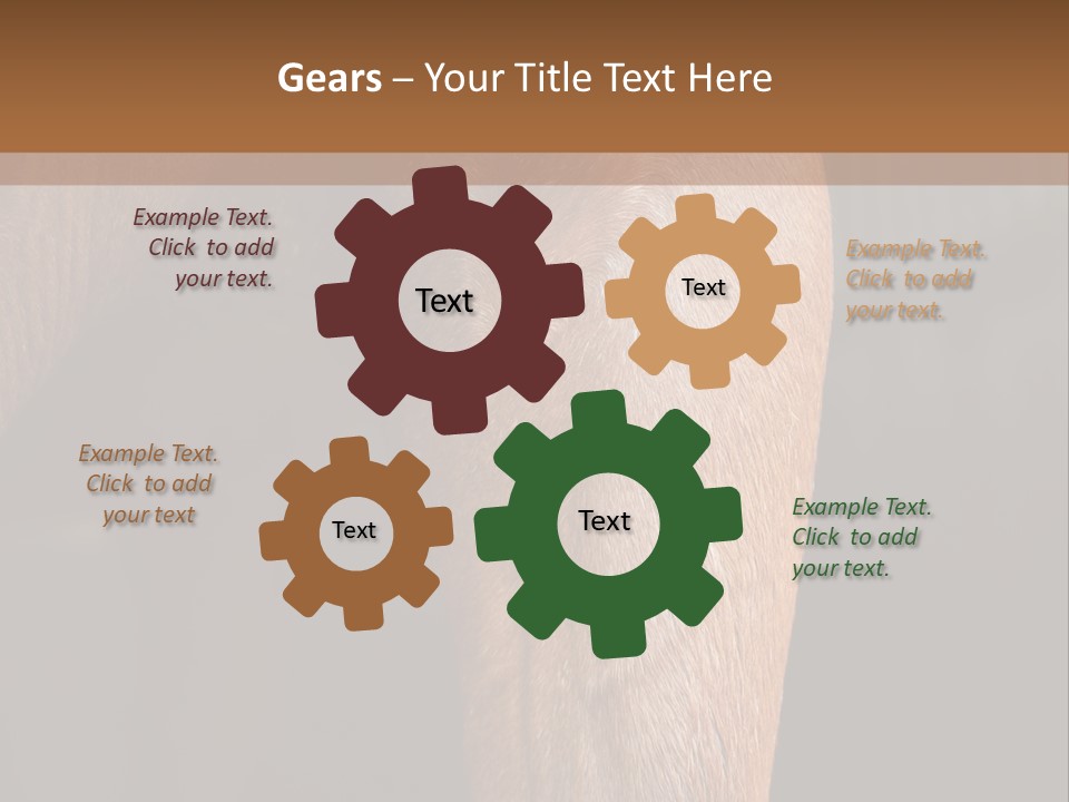 Fineartprints Wallmurals Leg PowerPoint Template