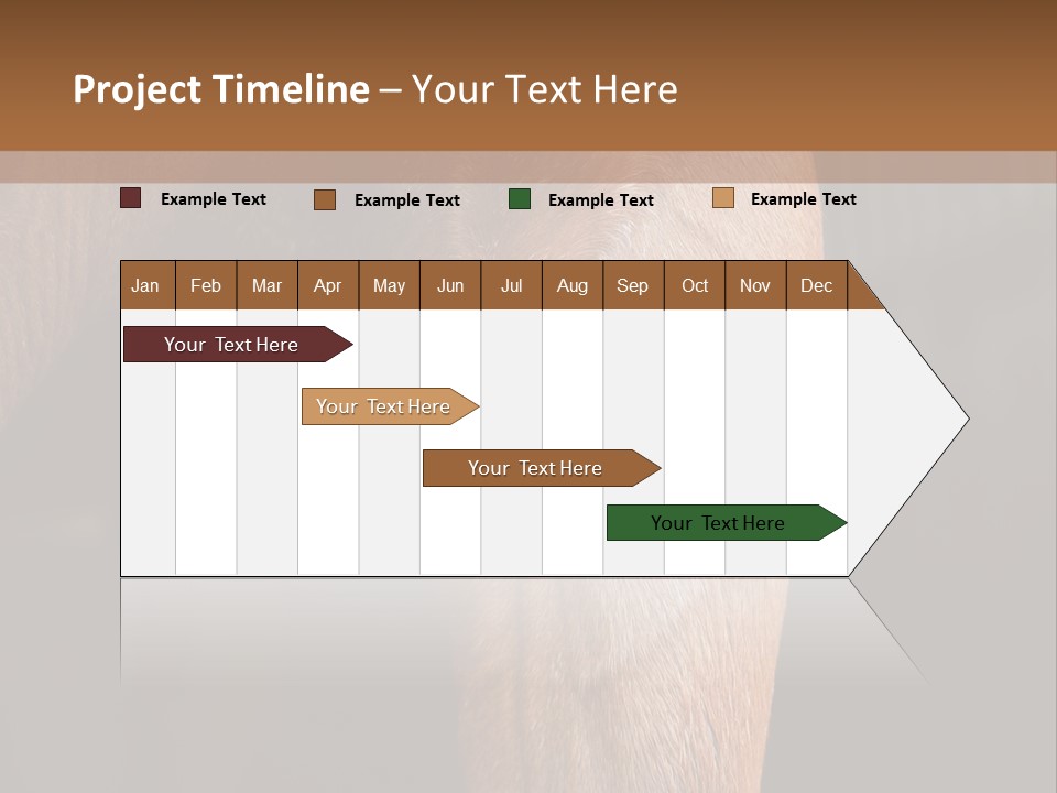 Fineartprints Wallmurals Leg PowerPoint Template