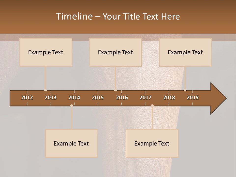 Fineartprints Wallmurals Leg PowerPoint Template