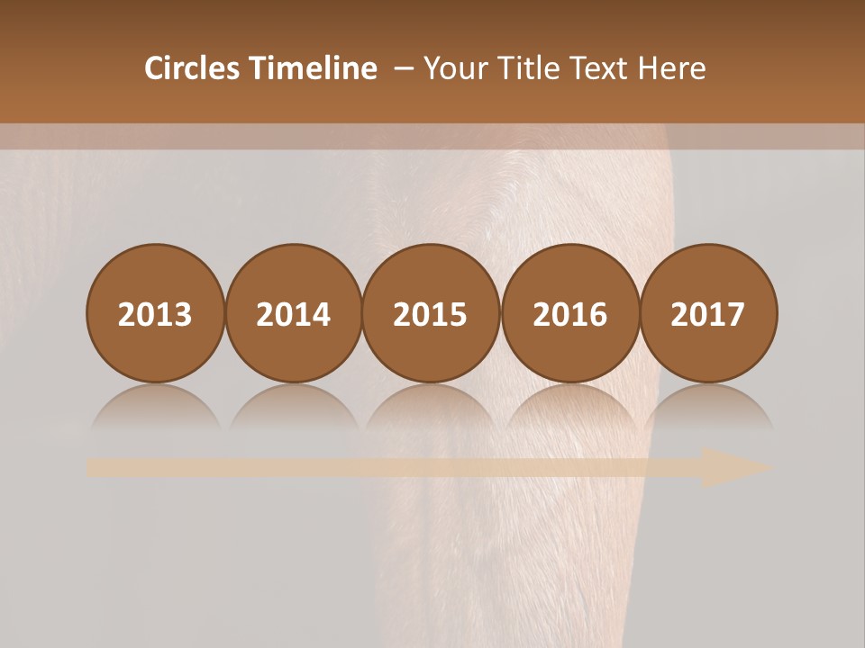 Fineartprints Wallmurals Leg PowerPoint Template