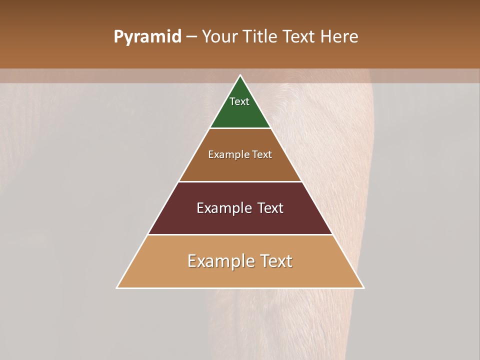 Fineartprints Wallmurals Leg PowerPoint Template