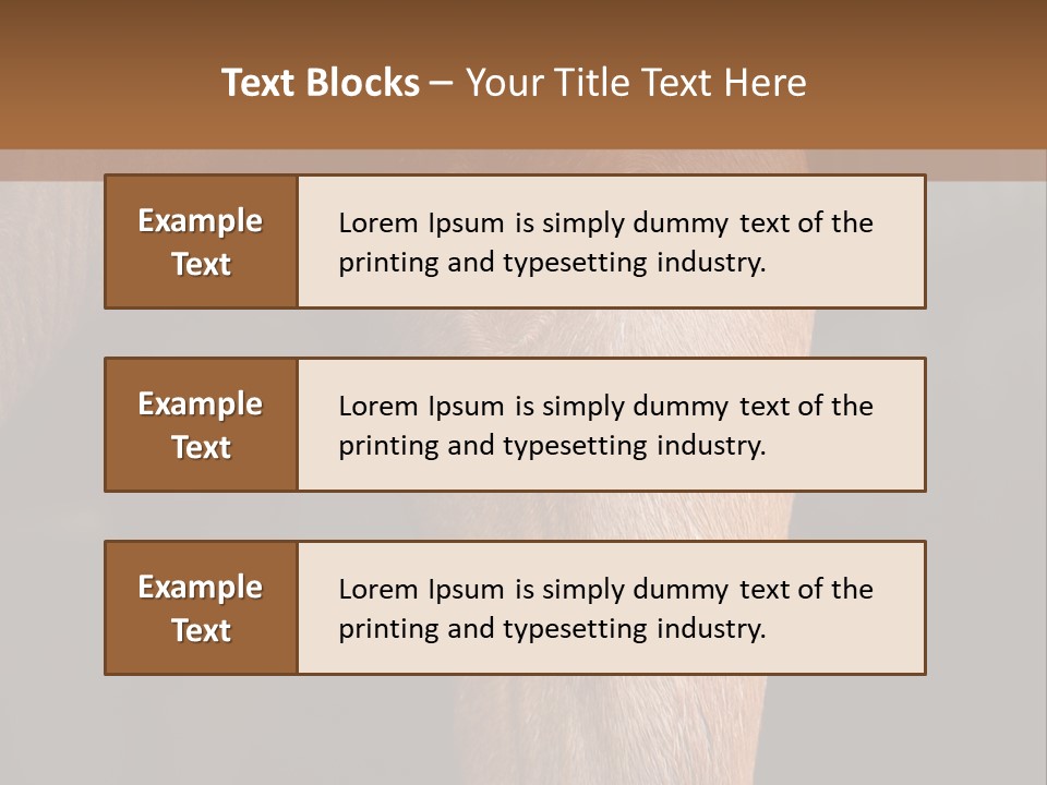 Fineartprints Wallmurals Leg PowerPoint Template
