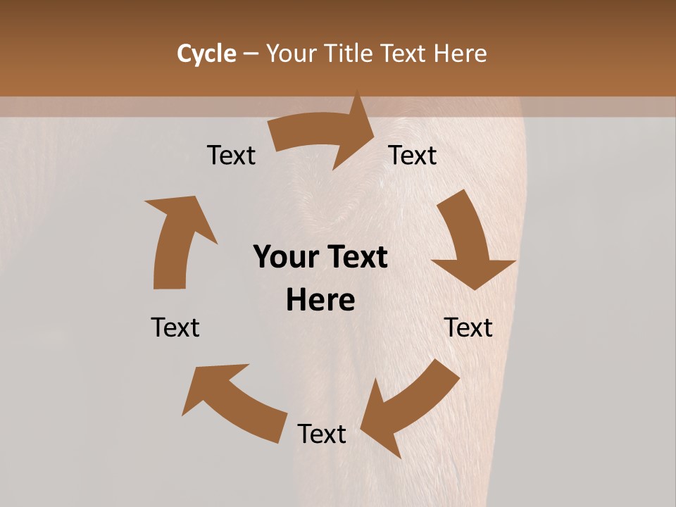 Fineartprints Wallmurals Leg PowerPoint Template