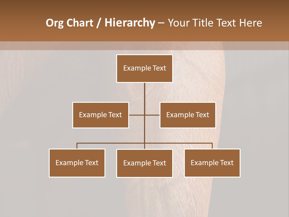Fineartprints Wallmurals Leg PowerPoint Template
