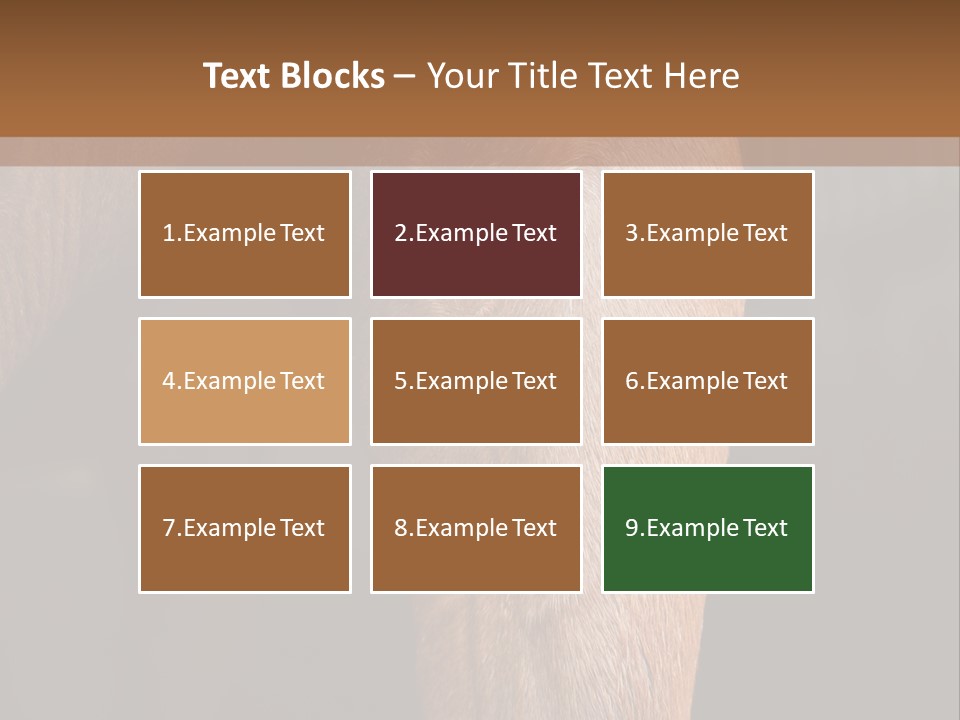 Fineartprints Wallmurals Leg PowerPoint Template