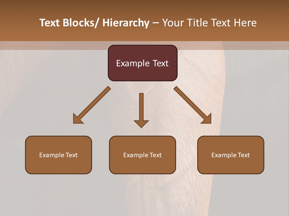 Fineartprints Wallmurals Leg PowerPoint Template
