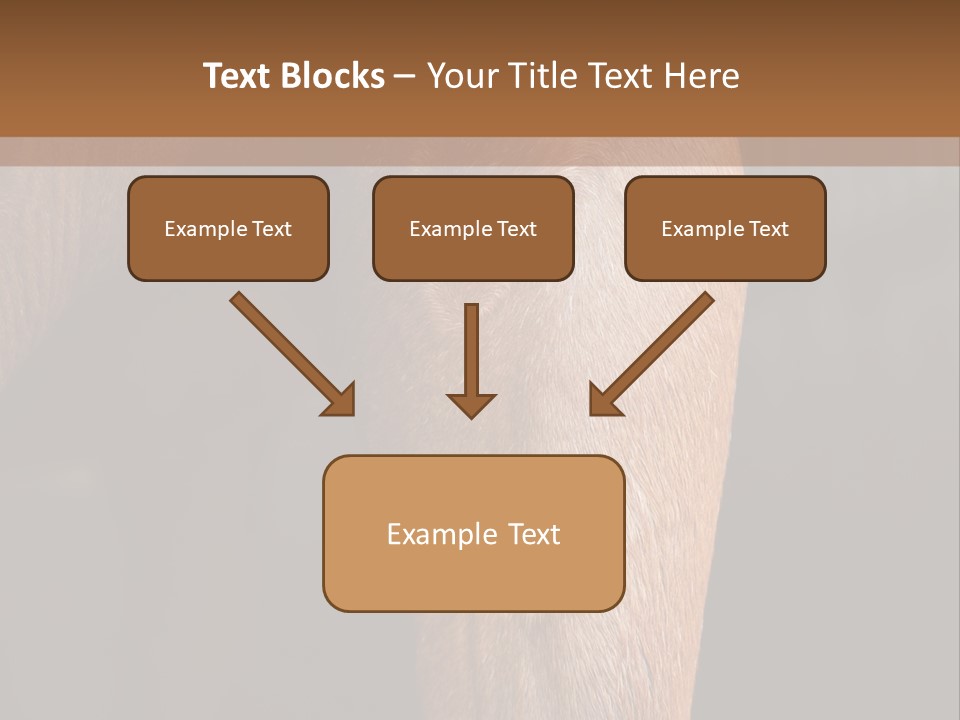 Fineartprints Wallmurals Leg PowerPoint Template