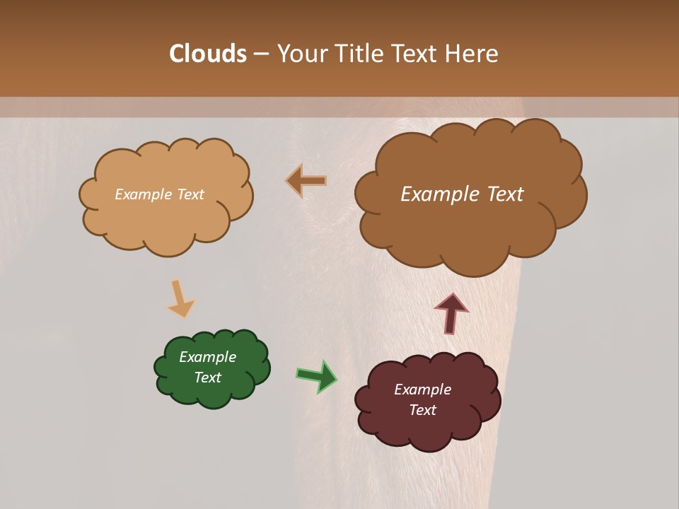 Fineartprints Wallmurals Leg PowerPoint Template