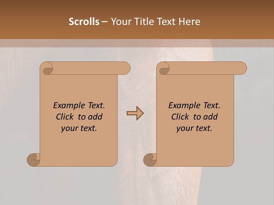 Fineartprints Wallmurals Leg PowerPoint Template