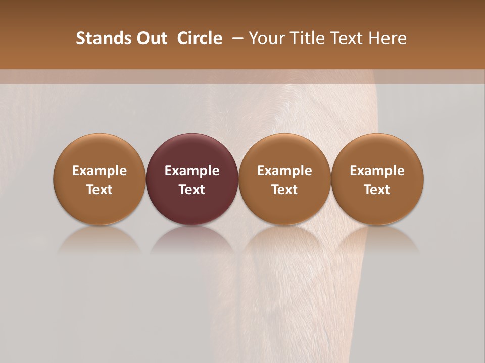 Fineartprints Wallmurals Leg PowerPoint Template