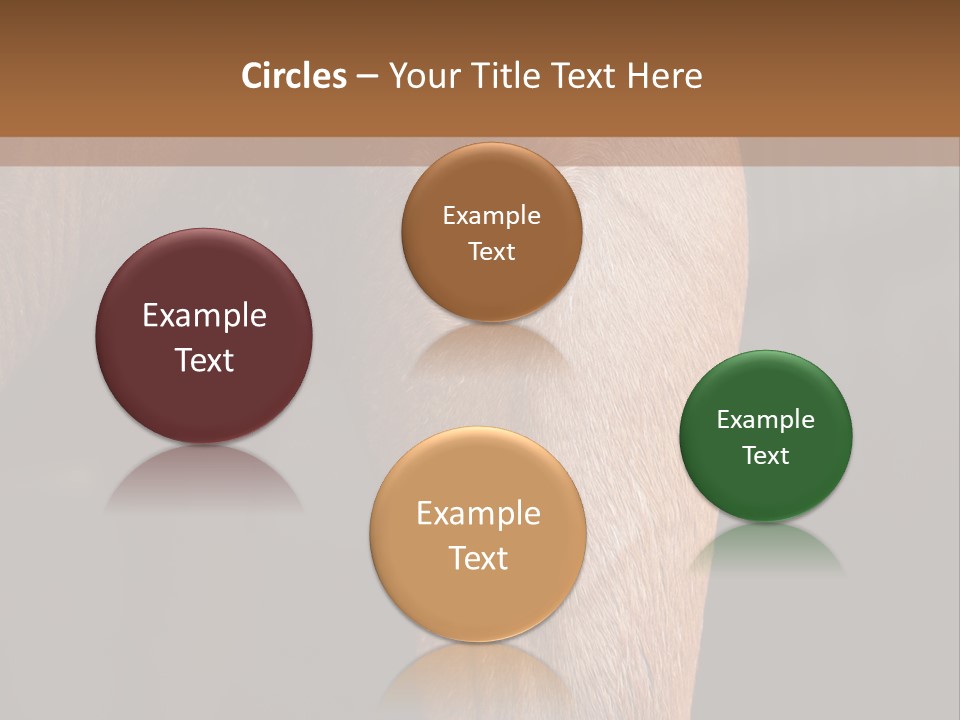 Fineartprints Wallmurals Leg PowerPoint Template