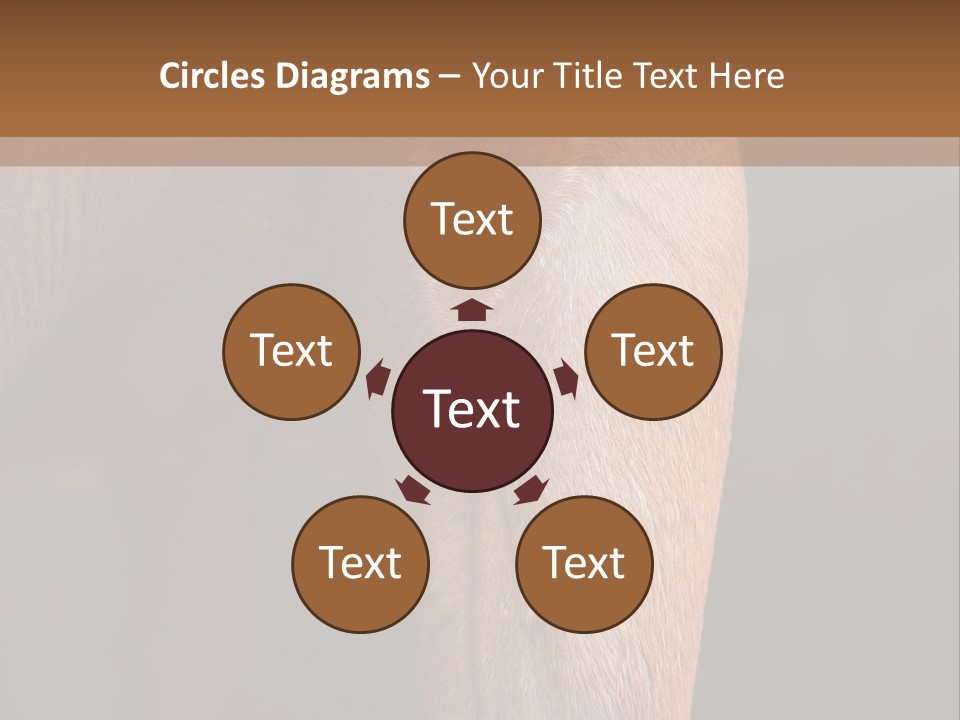 Fineartprints Wallmurals Leg PowerPoint Template