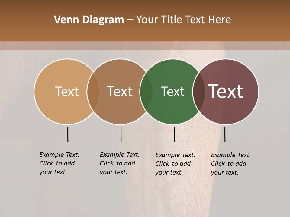 Fineartprints Wallmurals Leg PowerPoint Template