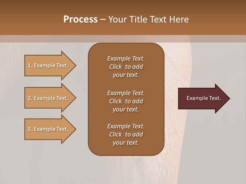 Fineartprints Wallmurals Leg PowerPoint Template
