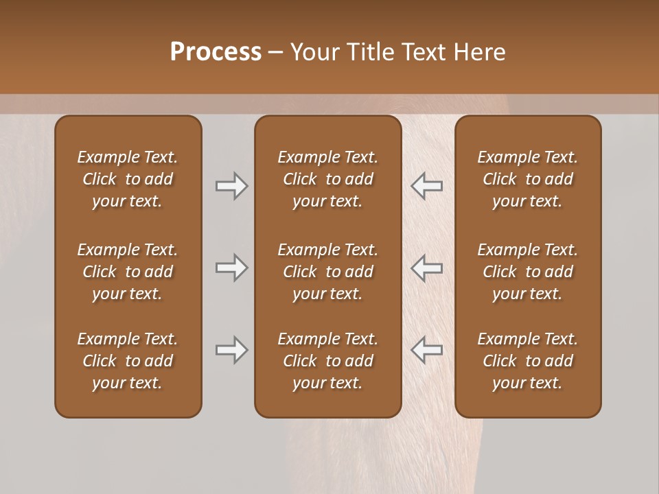 Fineartprints Wallmurals Leg PowerPoint Template