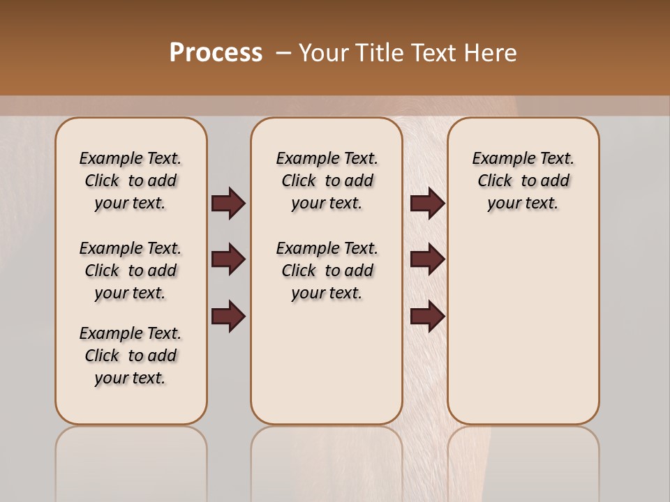 Fineartprints Wallmurals Leg PowerPoint Template