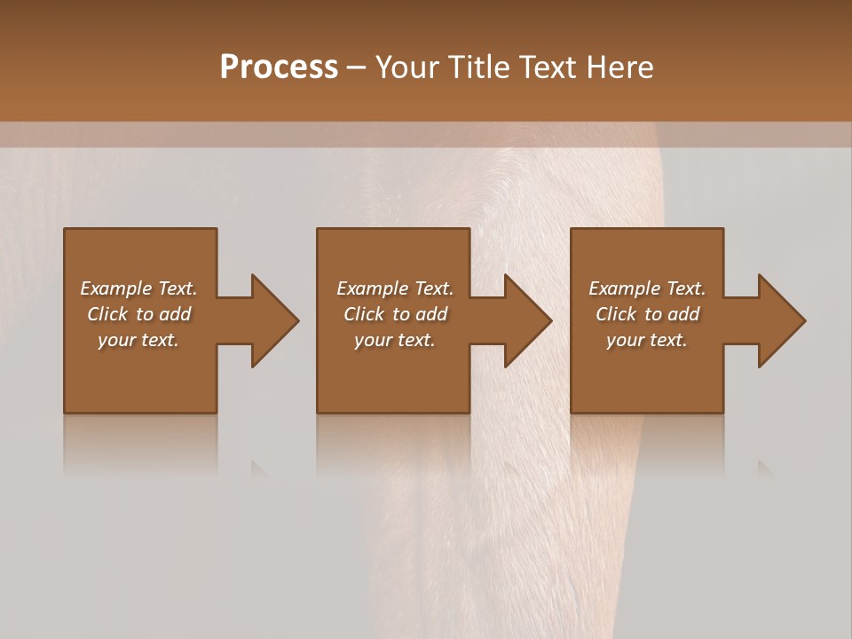 Fineartprints Wallmurals Leg PowerPoint Template