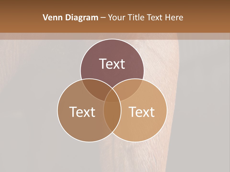 Fineartprints Wallmurals Leg PowerPoint Template