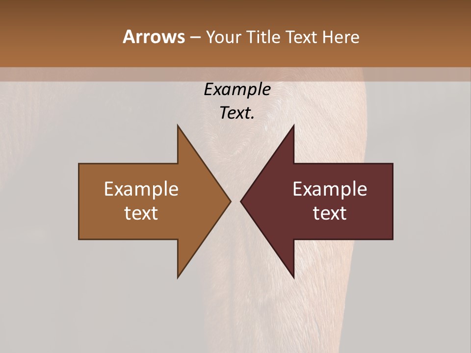 Fineartprints Wallmurals Leg PowerPoint Template