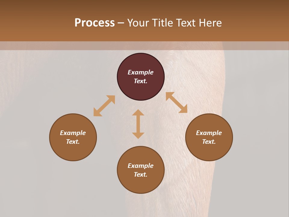 Fineartprints Wallmurals Leg PowerPoint Template