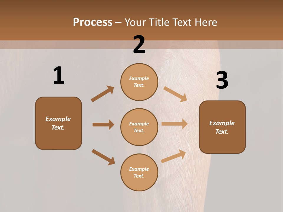 Fineartprints Wallmurals Leg PowerPoint Template