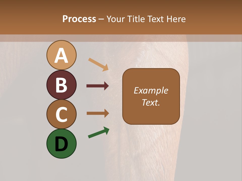Fineartprints Wallmurals Leg PowerPoint Template